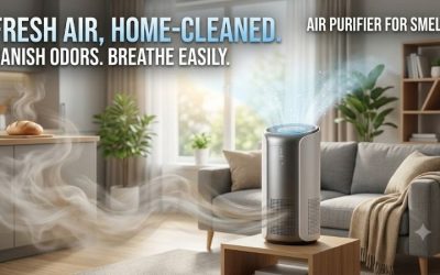 Air purifier for smell: Remove odors from your house