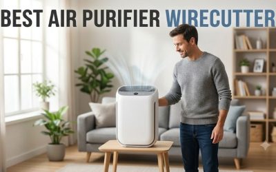 Best air purifier Wirecutter: Top home air choices 2026