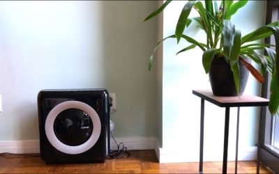 Coway airmega ap-1512hh mighty air purifier review 2026