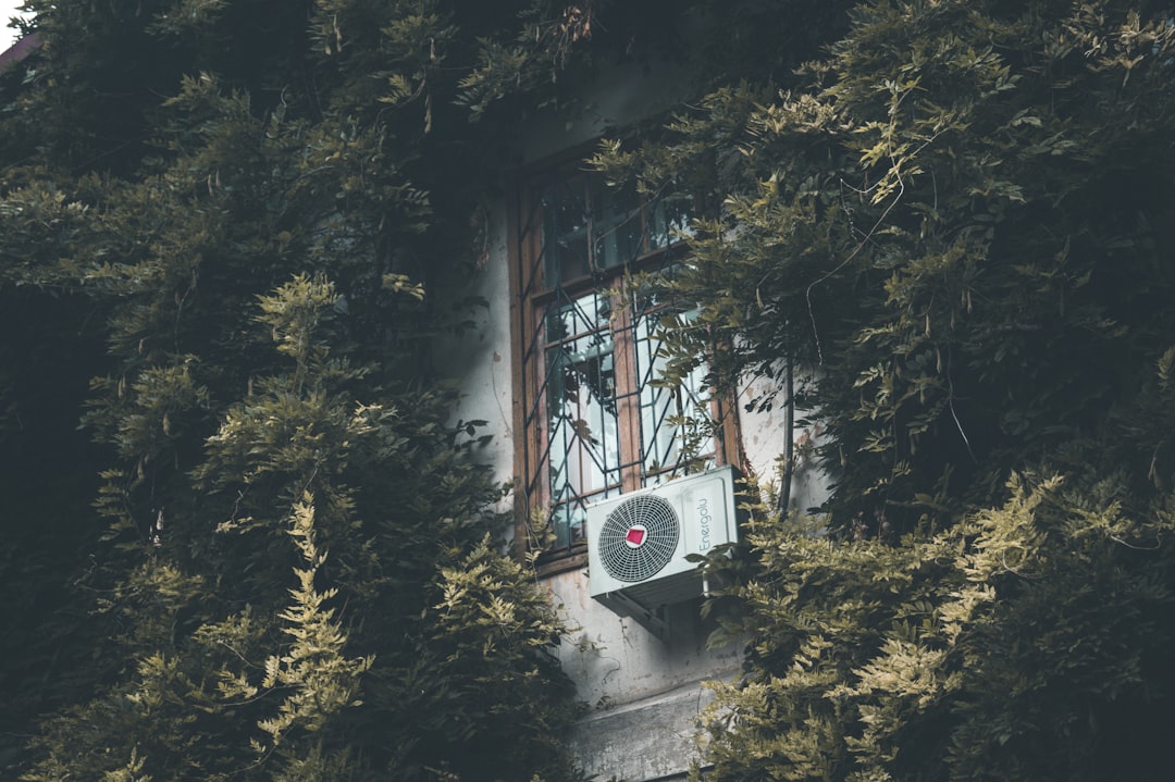 How to Improve Indoor Air Quality at Home