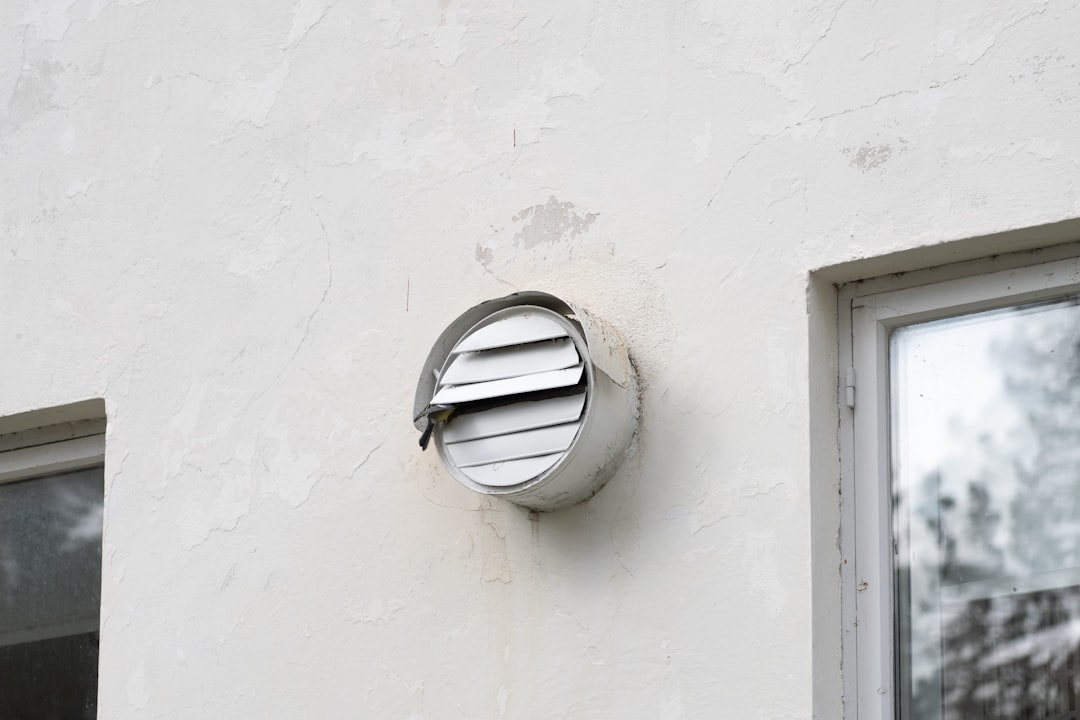 Mold in Air Ducts: Signs, Risks, and Removal