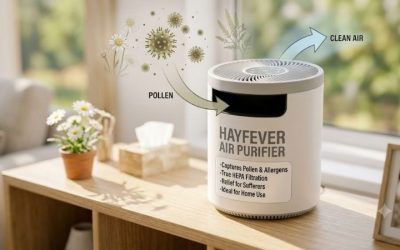 Hayfever air purifier: Effective relief for the season