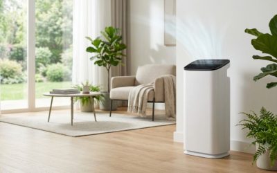 Honeywell Air Purifier Guide: Unlocking Superb Clean Air