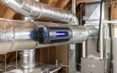 Reme halo air purifier: Ultimate solution for pure air