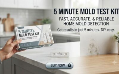 5 minute mold test kit: How to use for quick checking