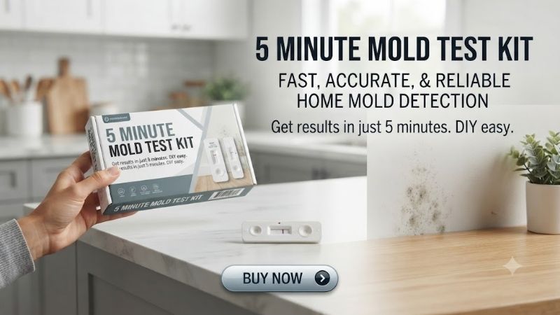 5-minute-mold-test-kit