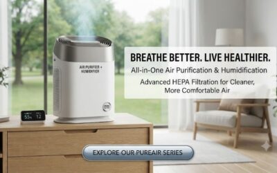 Air purifier humidifier HEPA: All-in-one air solution