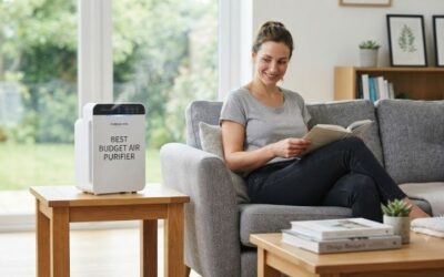 Best budget air purifier: Top Picks for Clean Air Home