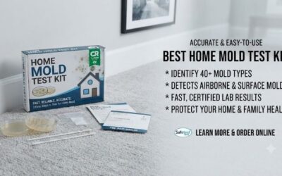 Best home mold test kit consumer reports: Top choices
