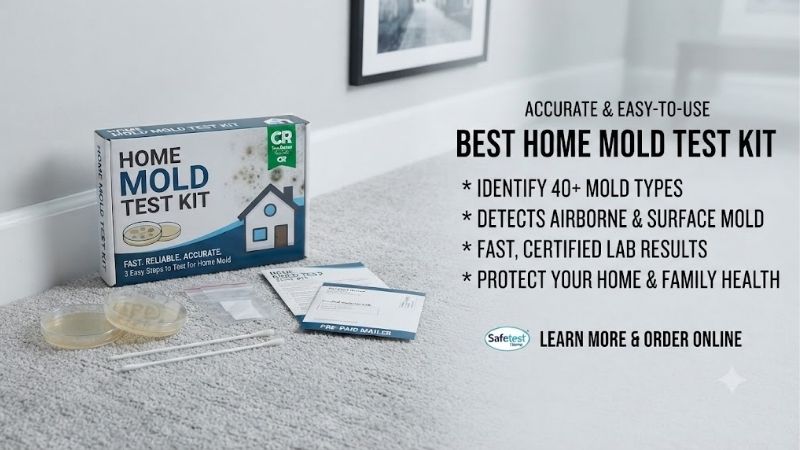 best-home-mold-test-kit-consumer-reports
