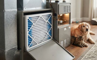 Best hvac air filter for home with pets: amazing fresh air