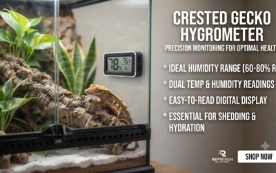 Crested gecko hygrometer: Monitor humidity for reptiles