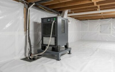 Dehumidifier for encapsulated crawl space: ultimate best