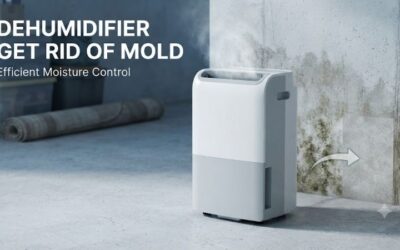 Dehumidifier get rid of mold: Complete Control Strategy