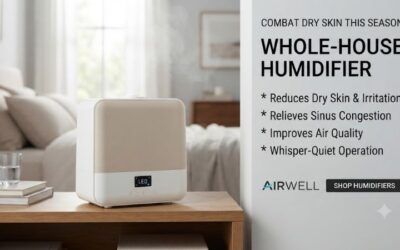 Humidifier dry skin: Restore moisture for soft texture