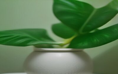 Humidifier for monstera: Create The Perfect Tropics Hub