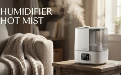 Humidifier hot mist: Benefits for comfort and sinuses