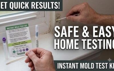 Instant mold test kit: Fast, accurate home mold analysis