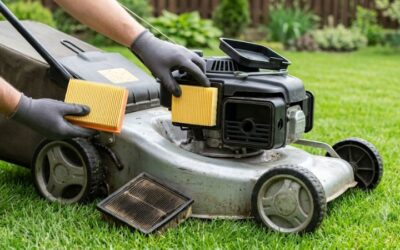 Lawn mower air filter replacement: easy and ultimate guide