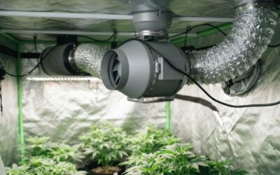 Vivosun inline duct fan: Ultimate Guide to Perfect Airflow