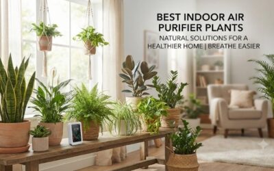 5 Best Indoor Air Purifier Plants: Top Green Choices