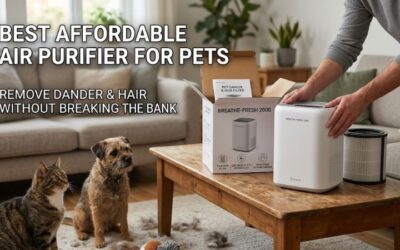 8 Best Affordable Air Purifiers for Pets: Top Budget Picks