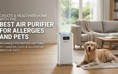 5 Best Air Purifiers For Allergies And Pets Options