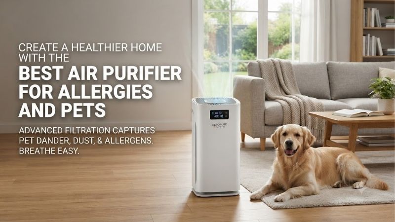 5 Best Air Purifiers For Allergies And Pets Options 5 Best Air Purifiers For Allergies And Pets Options