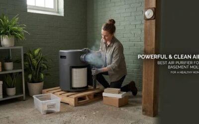 8 Best Air Purifiers for Basement Mold: Top Cleaners Review
