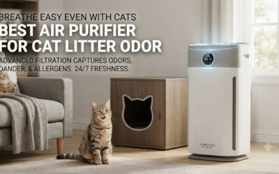 5 Best Air Purifiers For Cat Litter Odor In Small Spaces