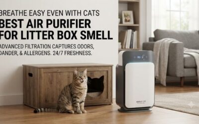5 Best Air Purifiers For Cat Litter Smell Elimination