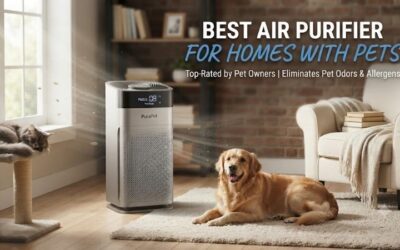 5 Best Air Purifiers For Homes With Pets: Top Odor