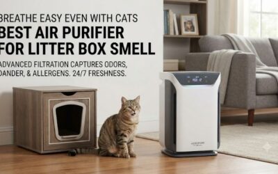 5 Best Air Purifiers For Litter Box Smell Control