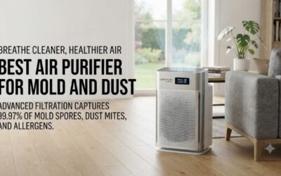 5 Best Air Purifiers For Mold And Dust Removal Tips