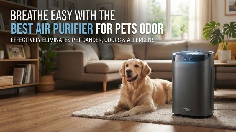 5 Best Air Purifiers For Pets Odor: Pure Fresh Air