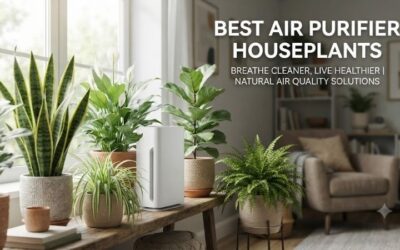 5 Best Air Purifier Houseplants: Natural Green Decor