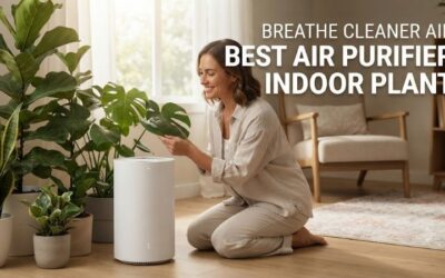 5 Best Air Purifier Indoor Plants: Top Green Choices