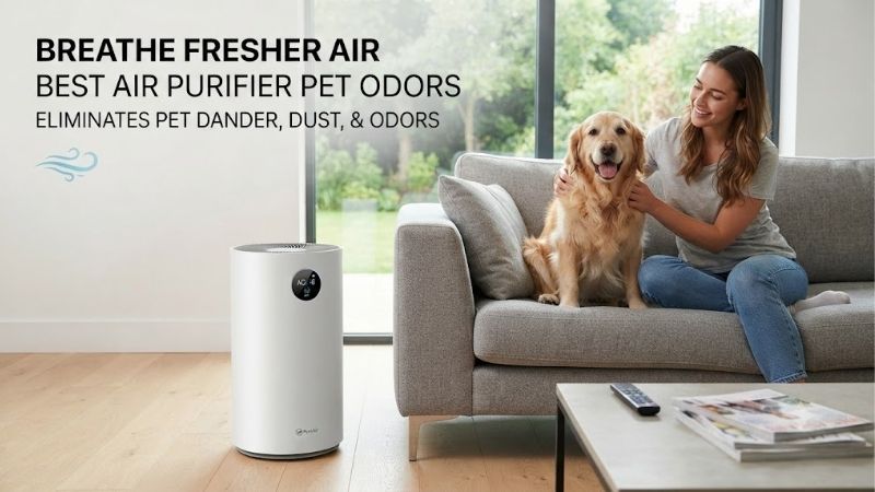 5 Best Air Purifier Pet Odors: Clean Fresh Home Guide 5 Best Air Purifier Pet Odors: Clean Fresh Home Guide