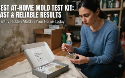 5 Best At-Home Mold Test Kits: Top DIY Indoor Detectors