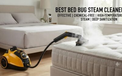 8 Best bed bug steam cleaners: Commercial thermal units