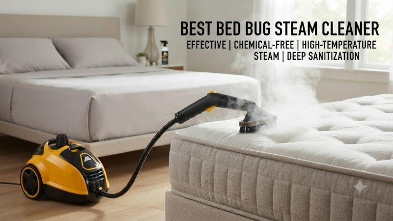 8 Best bed bug steam cleaners: Commercial thermal units