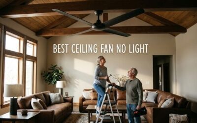 8 Best ceiling fan no lights: Sleek Minimalist Models