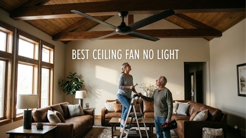 8 Best ceiling fan no lights: Sleek Minimalist Models