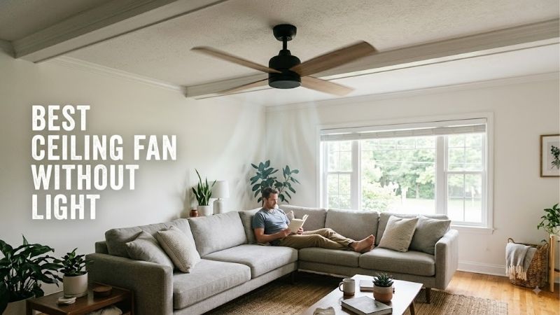 8 Best ceiling fan without lights: Modern Sleek Styles