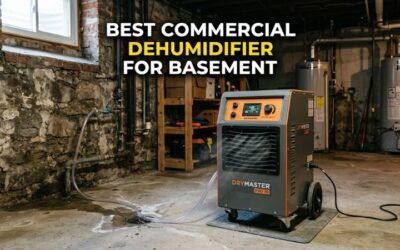 Best commercial dehumidifier for basement: Top 2026 Picks