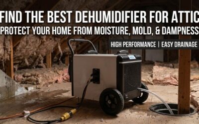 8 Best Dehumidifiers for Attic: Top Models for Humidity