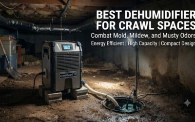 5 Best Dehumidifiers For Crawl Spaces: Top Moisture