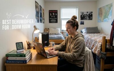 8 Best dehumidifiers for dorm room: Compact Dry Units