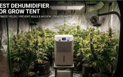 8 Best Dehumidifiers for Grow Tent: Ultimate Buyer’s Guide