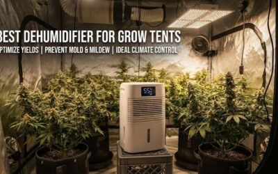 Best dehumidifier for grow tents: Top 2026 Picks